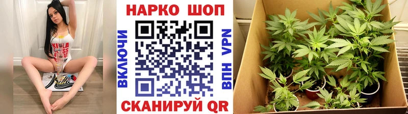 Сколько стоит Игра ГАШ Бошки Шишки МЕФ