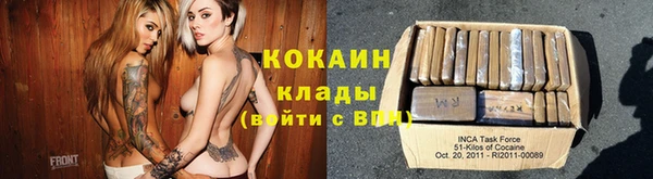 бошки Богданович