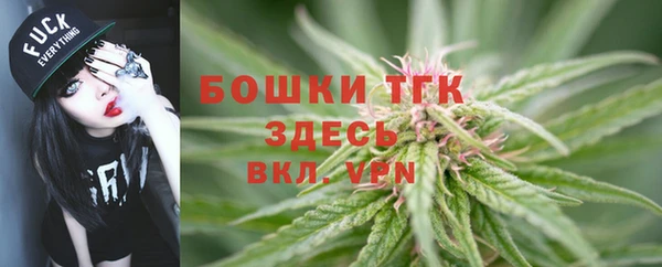 прущая мука Богородицк