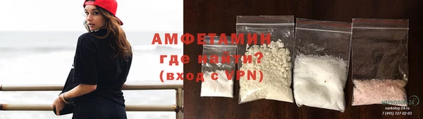 мдпв Богородск