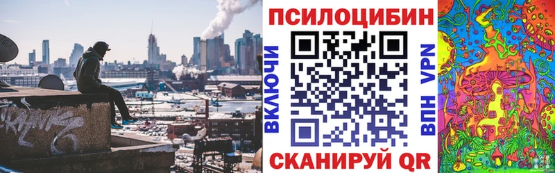 даркнет наркотические препараты  Игра  Галлюциногенные грибы Psilocybe 